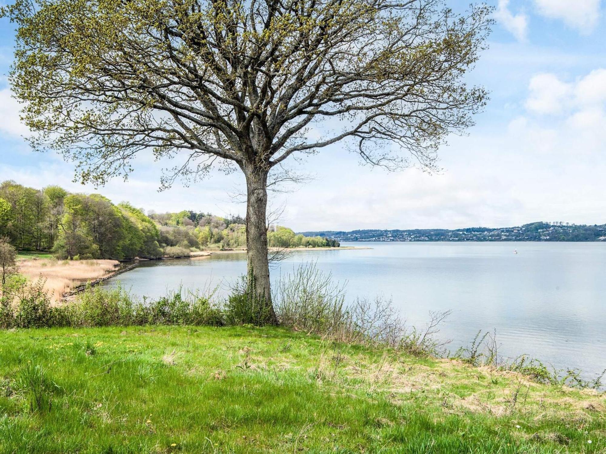 4 Person Holiday Home In B Rkop Børkop Exteriör bild